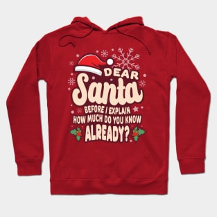 Christmas How Much Do You Know Funny Hoodie